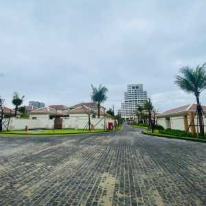 Đá bazan cubic đen 10x10x5 cm | Đà Nẵng